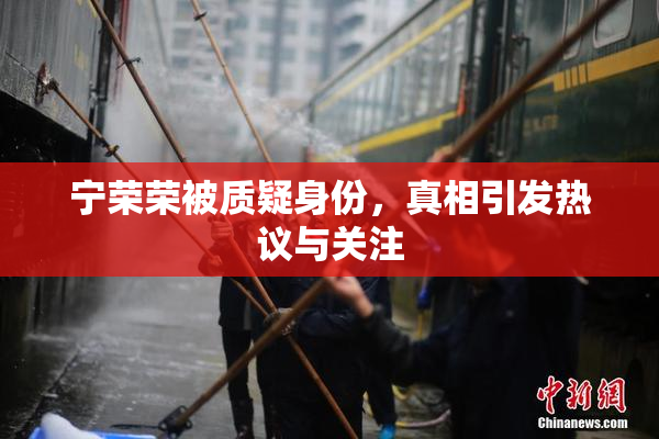 宁荣荣被质疑身份，真相引发热议与关注