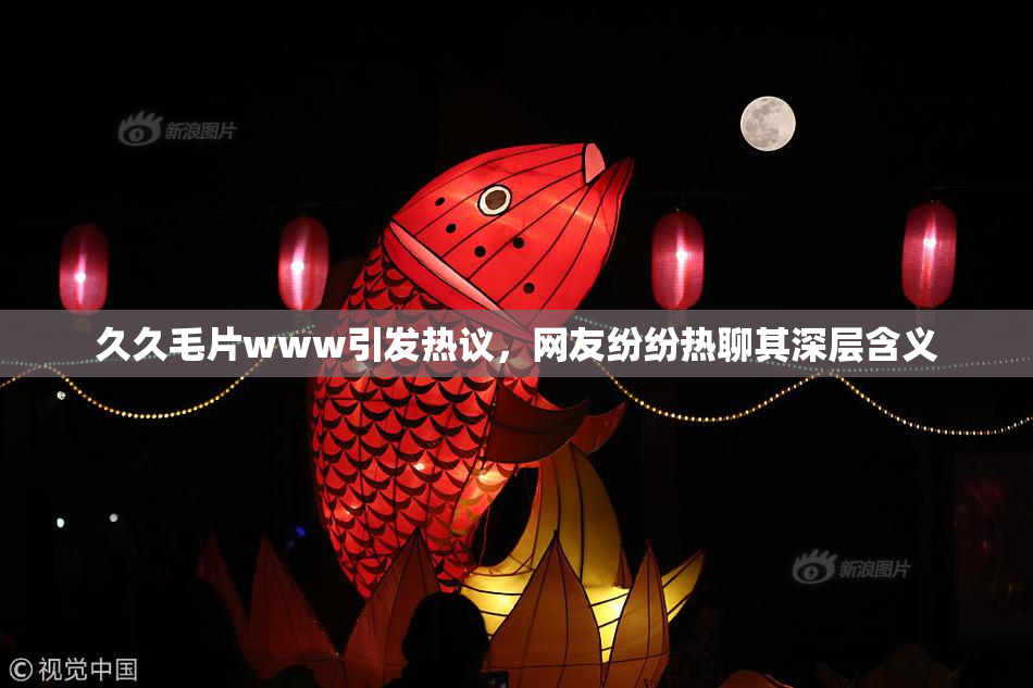 久久毛片www引发热议，网友纷纷热聊其深层含义