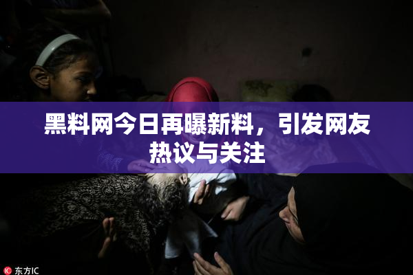 黑料网今日再曝新料，引发网友热议与关注