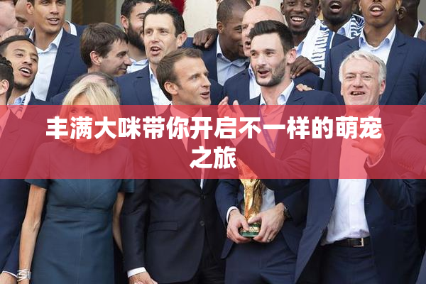 丰满大咪带你开启不一样的萌宠之旅