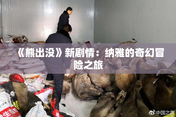 《熊出没》新剧情：纳雅的奇幻冒险之旅
