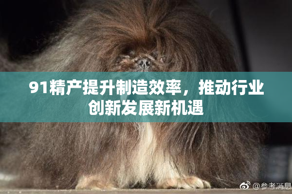 91精产提升制造效率，推动行业创新发展新机遇
