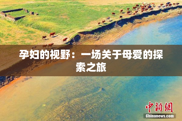 孕妇的视野：一场关于母爱的探索之旅