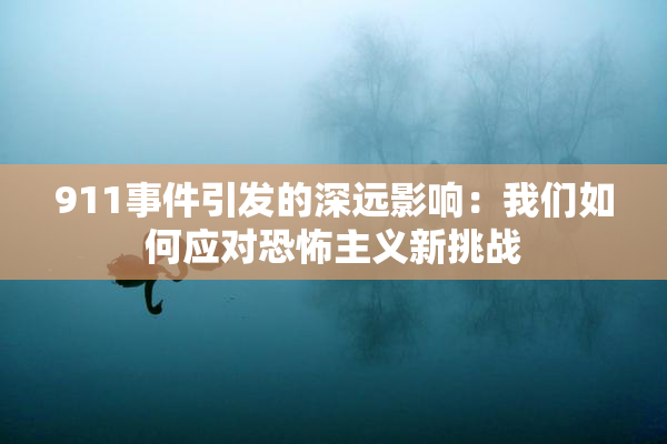 911事件引发的深远影响：我们如何应对恐怖主义新挑战