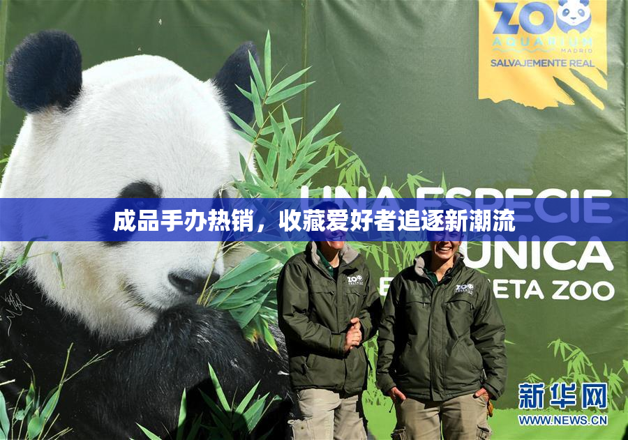 成品手办热销，收藏爱好者追逐新潮流