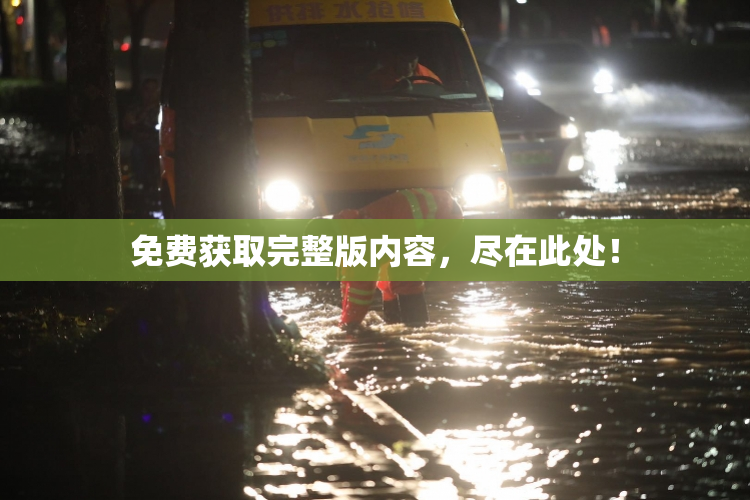 免费获取完整版内容，尽在此处！