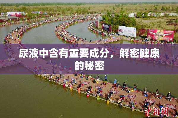 尿液中含有重要成分，解密健康的秘密