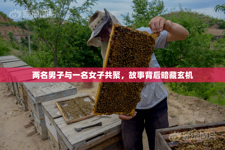 两名男子与一名女子共聚，故事背后暗藏玄机