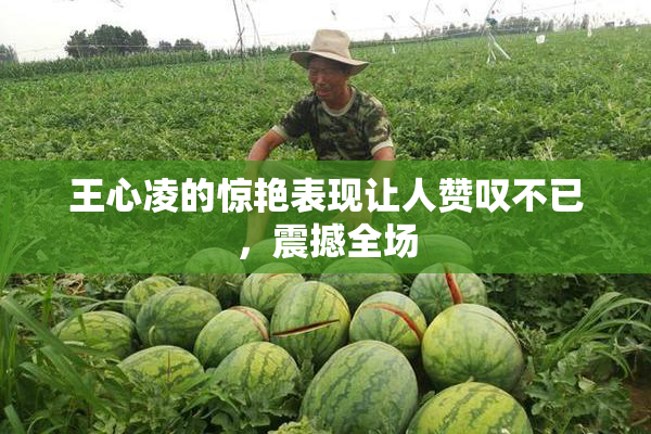王心凌的惊艳表现让人赞叹不已，震撼全场