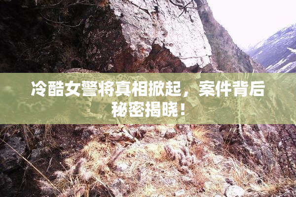 冷酷女警将真相掀起，案件背后秘密揭晓！