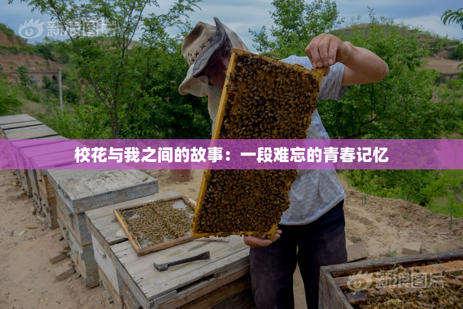 校花与我之间的故事：一段难忘的青春记忆