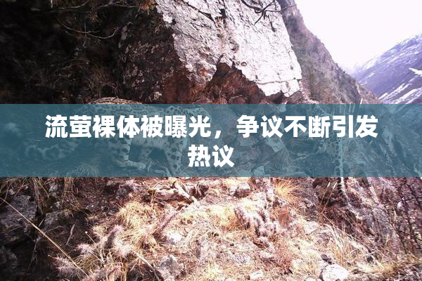 流萤裸体被曝光，争议不断引发热议