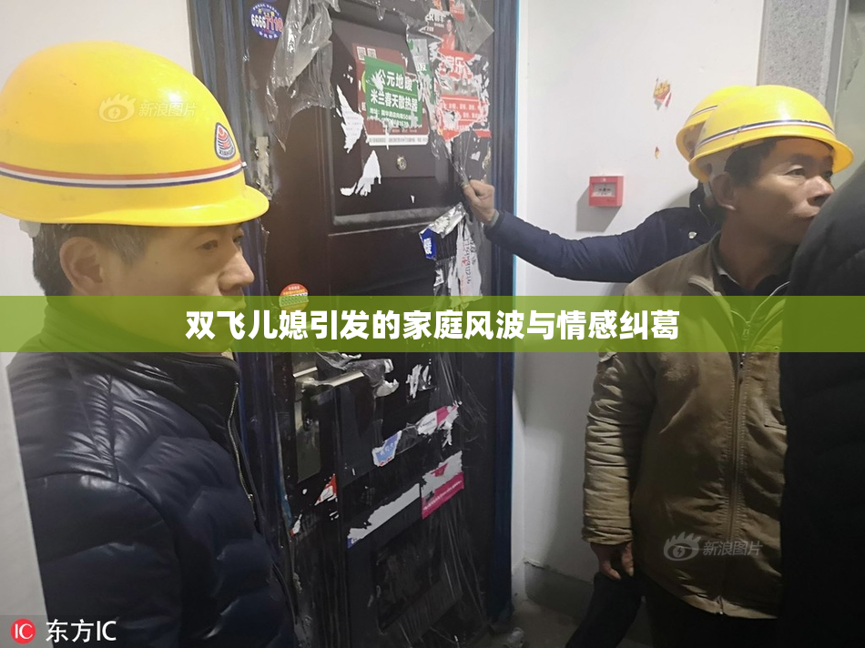 双飞儿媳引发的家庭风波与情感纠葛