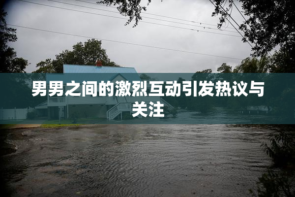 男男之间的激烈互动引发热议与关注