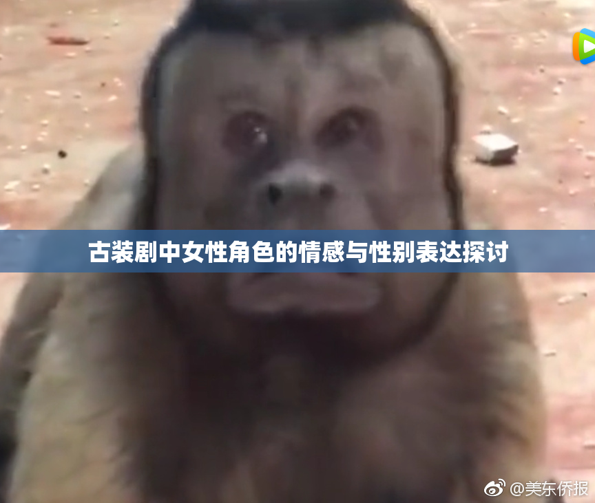 古装剧中女性角色的情感与性别表达探讨