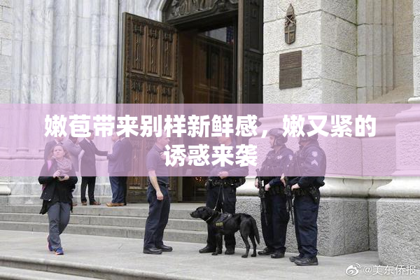 嫩苞带来别样新鲜感，嫩又紧的诱惑来袭