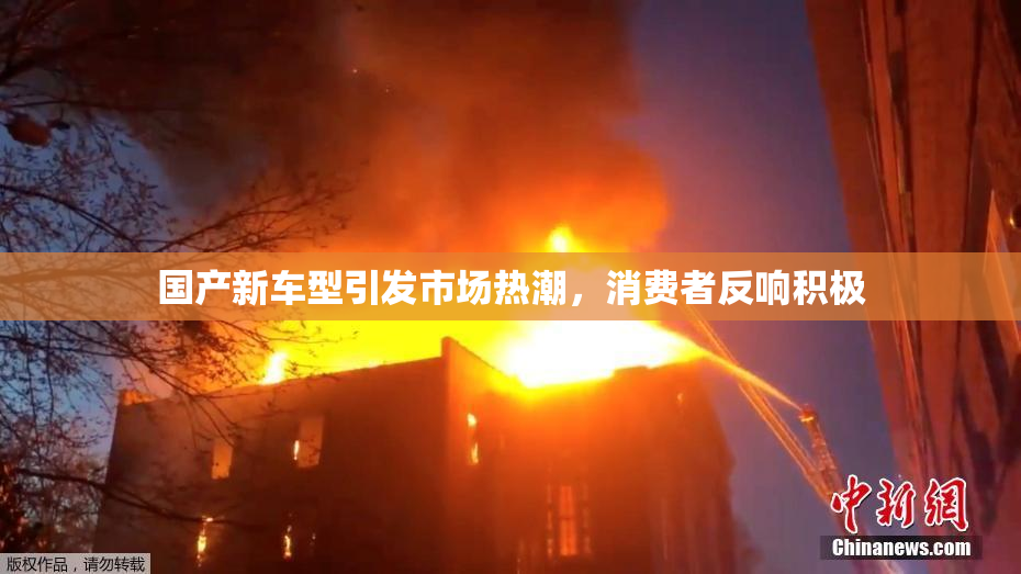 国产新车型引发市场热潮，消费者反响积极