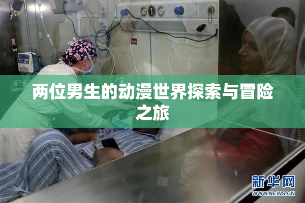 两位男生的动漫世界探索与冒险之旅
