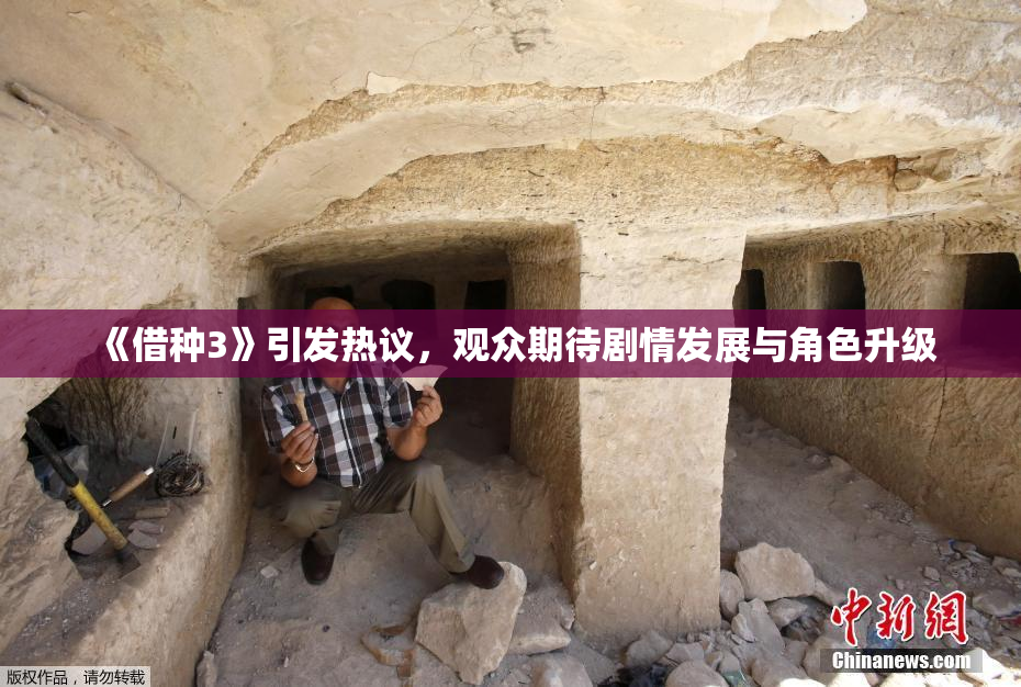 《借种3》引发热议，观众期待剧情发展与角色升级