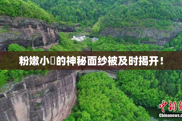 粉嫩小泬的神秘面纱被及时揭开！