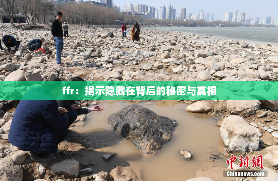 ffr：揭示隐藏在背后的秘密与真相