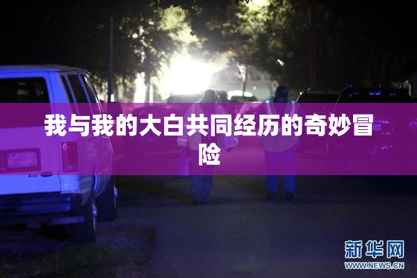 我与我的大白共同经历的奇妙冒险