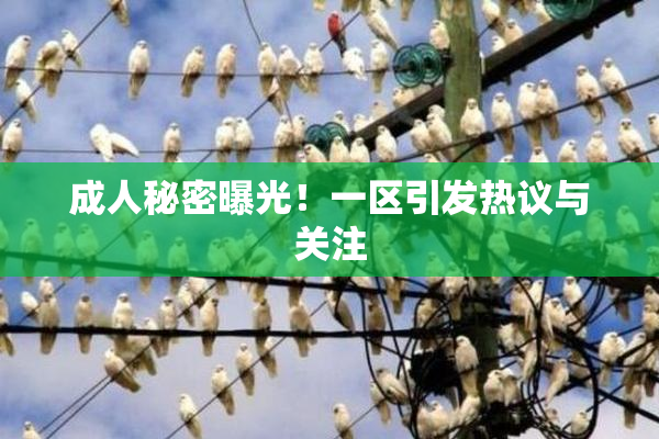 成人秘密曝光！一区引发热议与关注