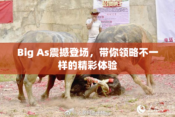 Big As震撼登场，带你领略不一样的精彩体验