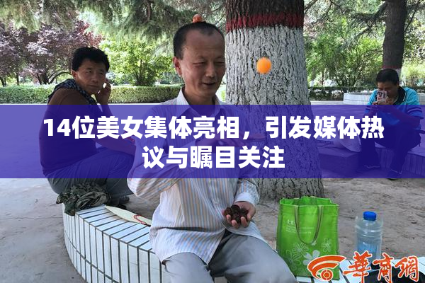 14位美女集体亮相，引发媒体热议与瞩目关注