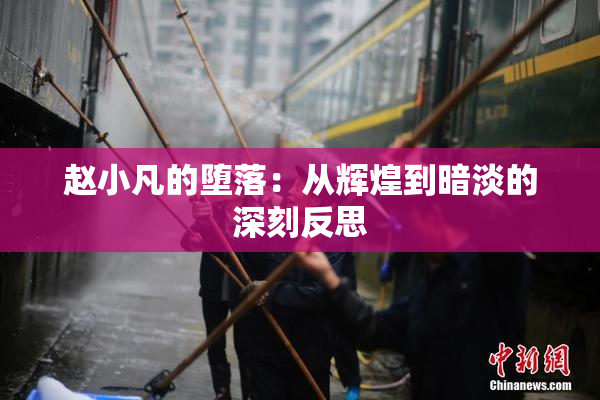 赵小凡的堕落：从辉煌到暗淡的深刻反思