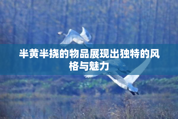 半黄半挠的物品展现出独特的风格与魅力