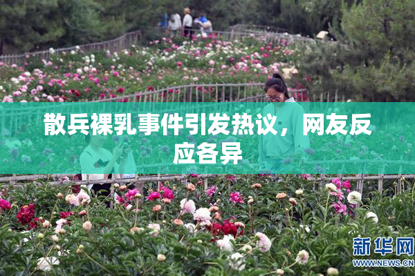散兵裸乳事件引发热议，网友反应各异