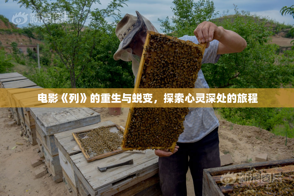电影《列》的重生与蜕变，探索心灵深处的旅程