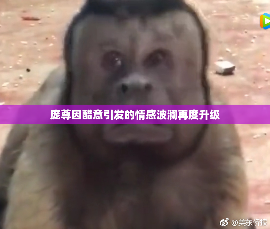 庞尊因醋意引发的情感波澜再度升级