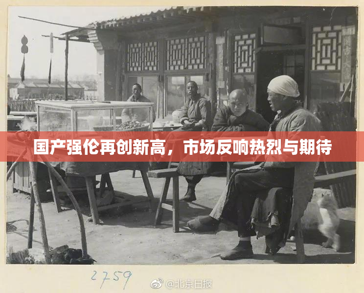 国产强伦再创新高，市场反响热烈与期待