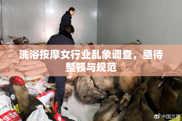 洗浴按摩女行业乱象调查，亟待整顿与规范