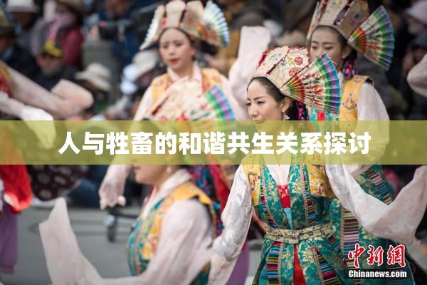 人与牲畜的和谐共生关系探讨