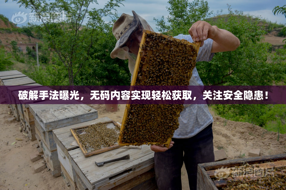 破解手法曝光，无码内容实现轻松获取，关注安全隐患！
