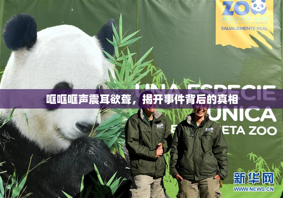 哐哐哐声震耳欲聋，揭开事件背后的真相