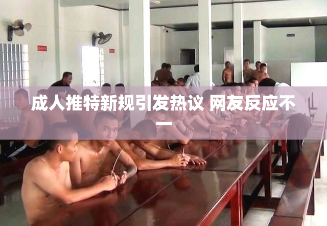 成人推特新规引发热议 网友反应不一