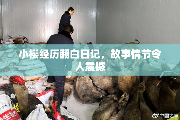 小樱经历翻白日记，故事情节令人震撼