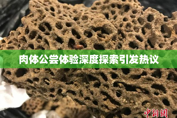 肉体公尝体验深度探索引发热议
