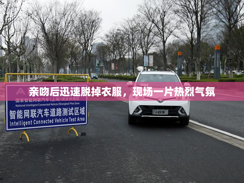 亲吻后迅速脱掉衣服，现场一片热烈气氛