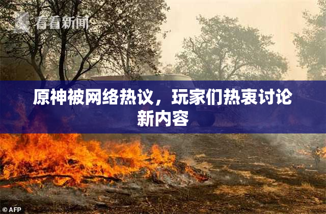 原神被网络热议，玩家们热衷讨论新内容