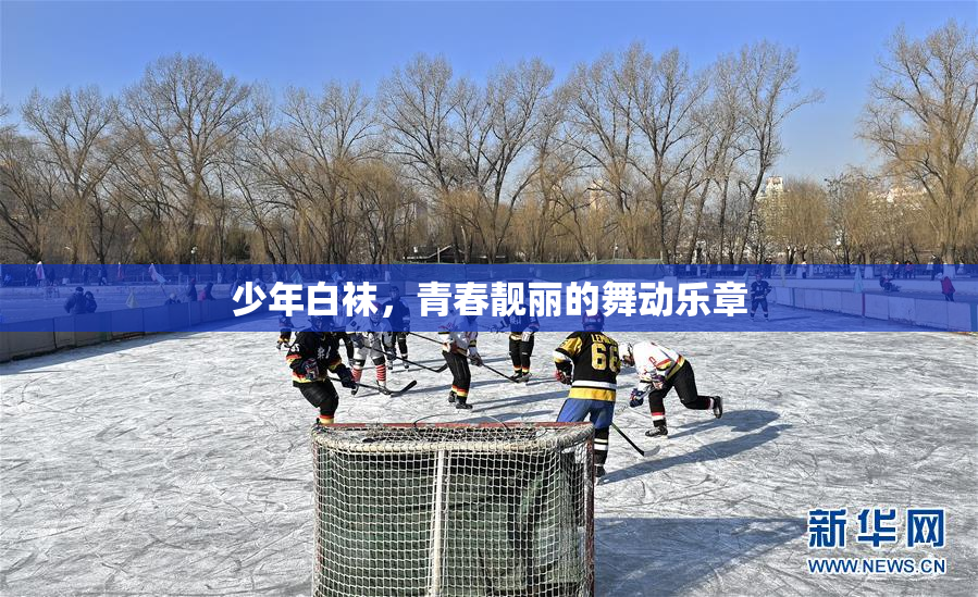 少年白袜，青春靓丽的舞动乐章