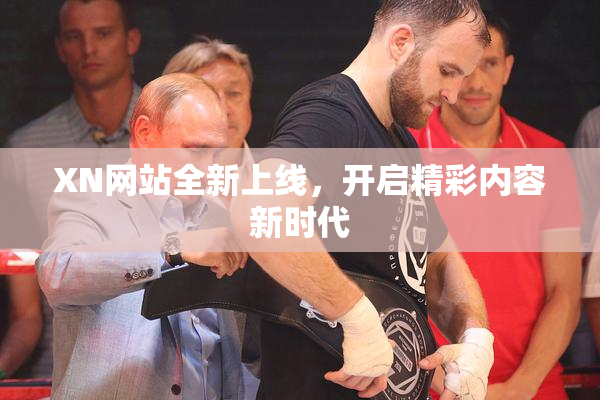 XN网站全新上线，开启精彩内容新时代
