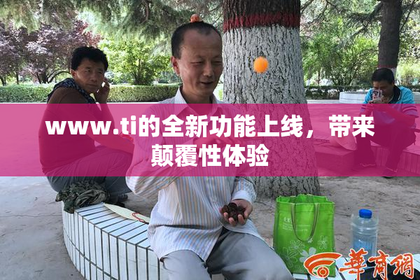 www.ti的全新功能上线，带来颠覆性体验