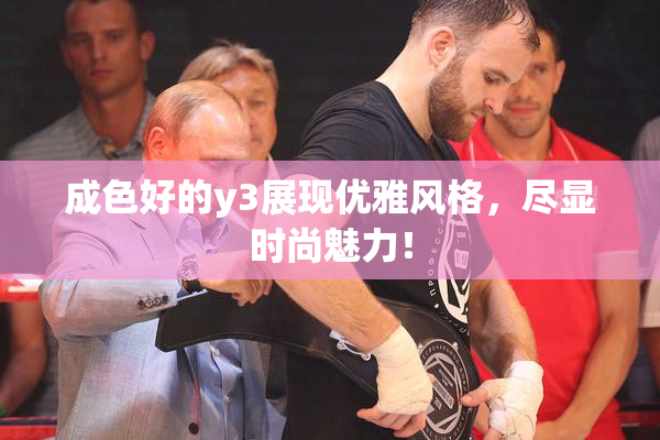成色好的y3展现优雅风格，尽显时尚魅力！