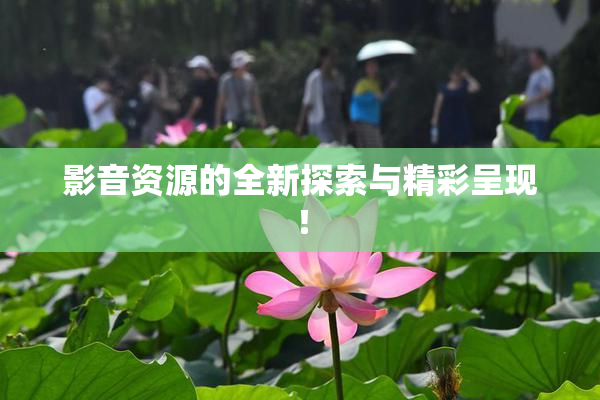 影音资源的全新探索与精彩呈现！