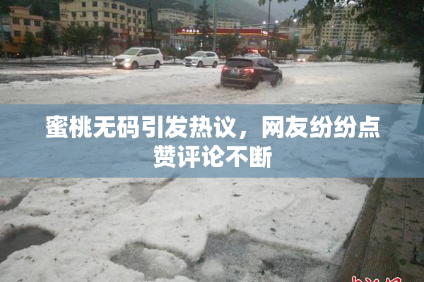 蜜桃无码引发热议，网友纷纷点赞评论不断